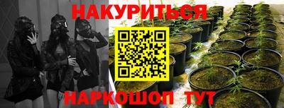 PSILOCYBIN Аргун