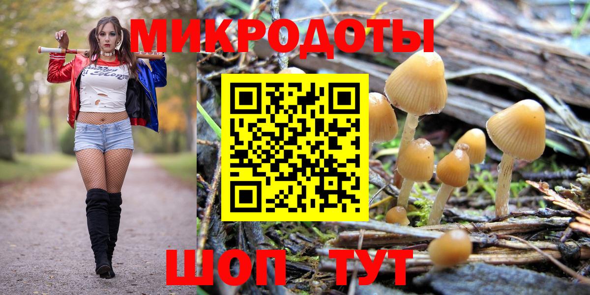Псилоцибиновые грибы Psilocybe  Вход с VPN  Будённовск  Псилоцибиновые грибы GOLDEN TEACHER 