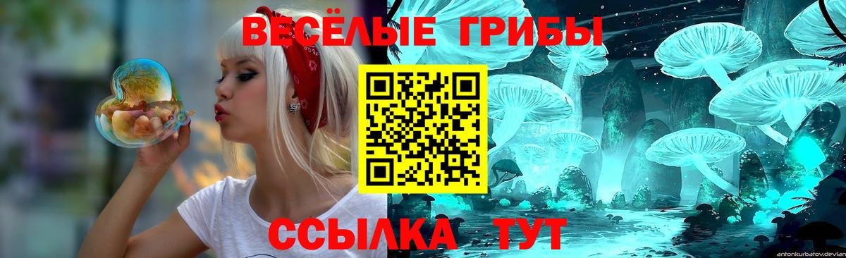 Галлюциногенные грибы Psilocybine cubensis Будённовск